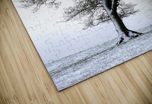 Lone Tree In Field PacificStock puzzle