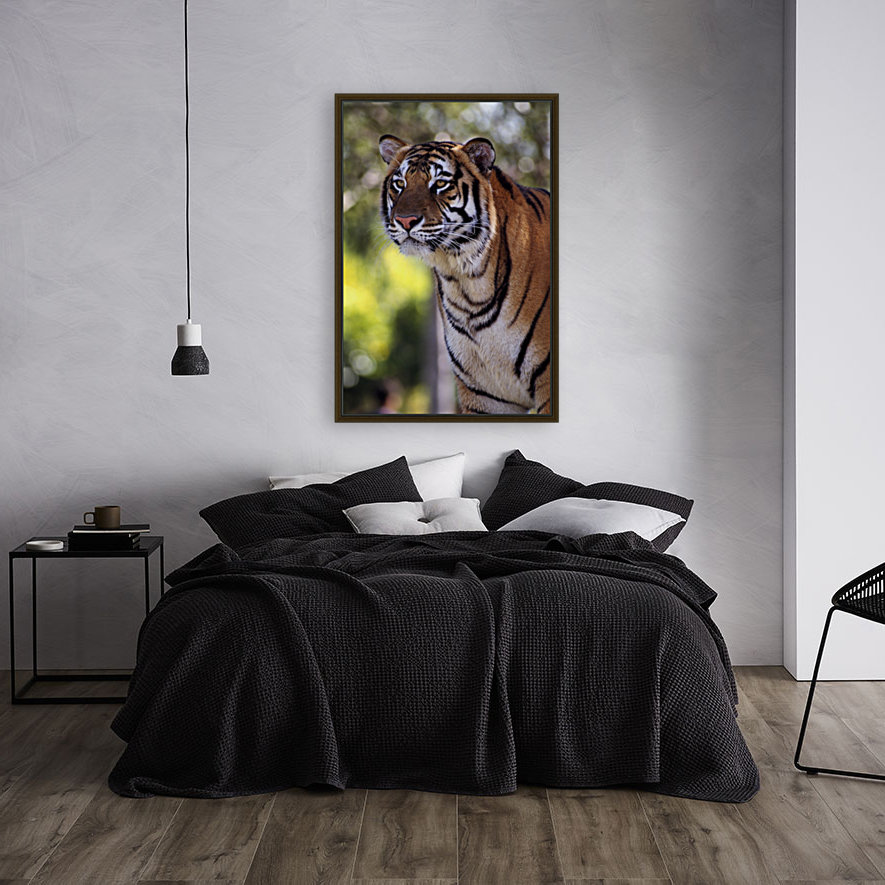 Bengal Tiger Reproduction
