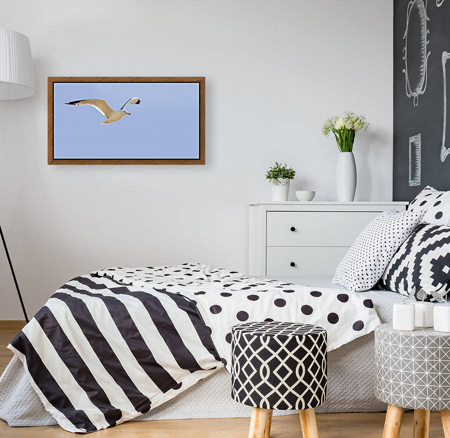 Seagull In Flight Reproduction