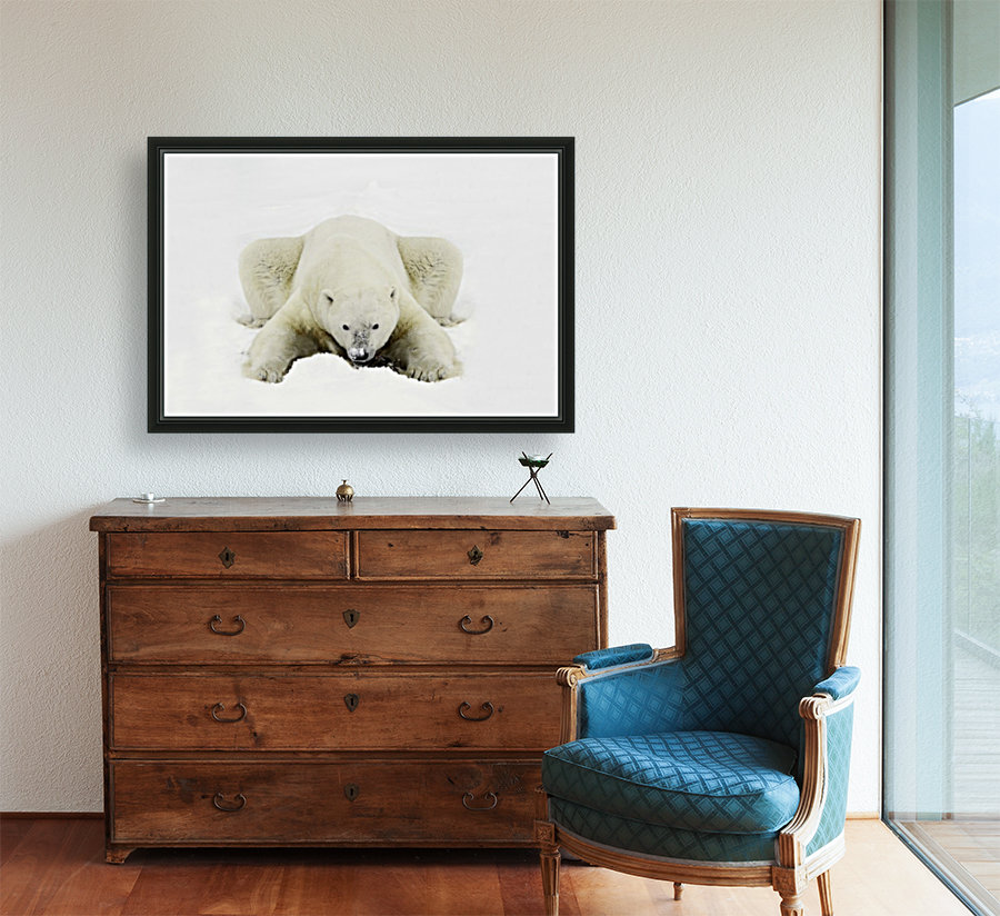 Polar Bear Reproduction