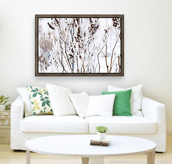 Plants In Winter Reproduction