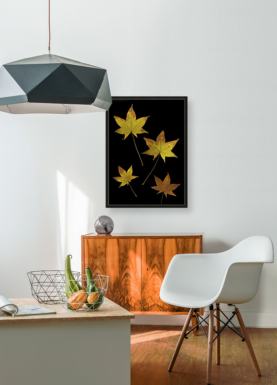 Autumn Leaves Reproduction
