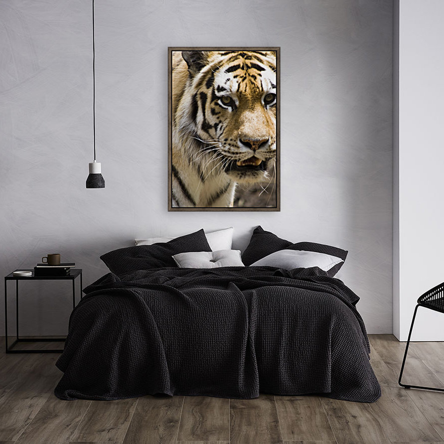 Tiger Reproduction