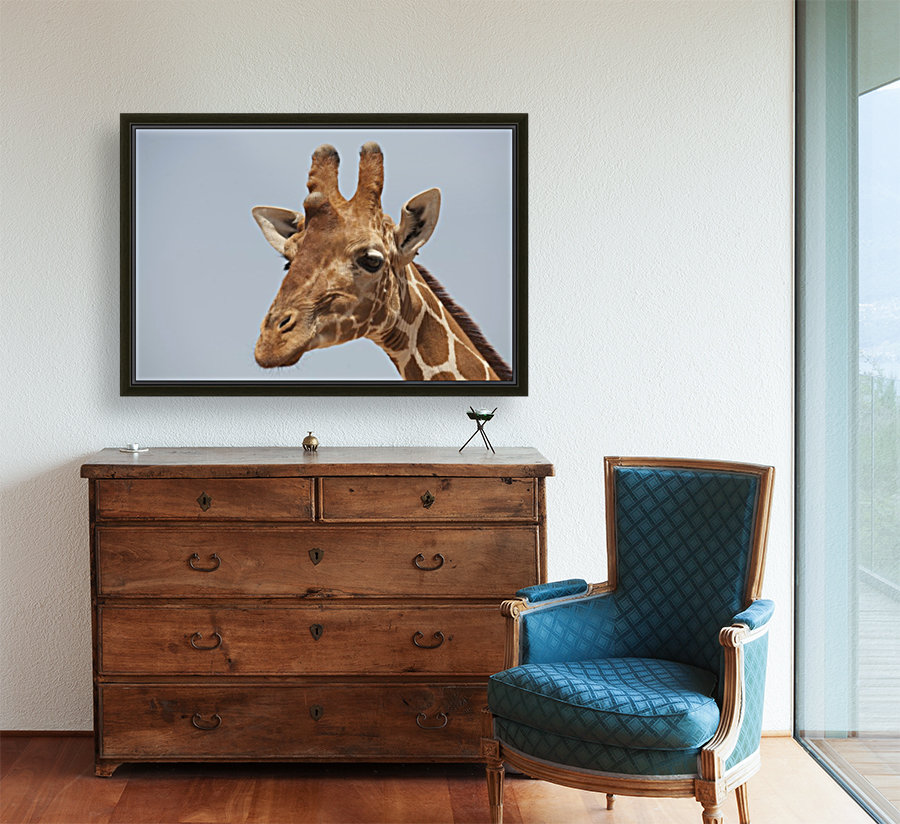 Giraffe Reproduction
