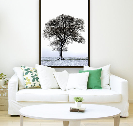 Lone Tree In Field Reproduction