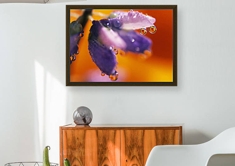 Reflection Of Flower In Dew Drops by PacificStock