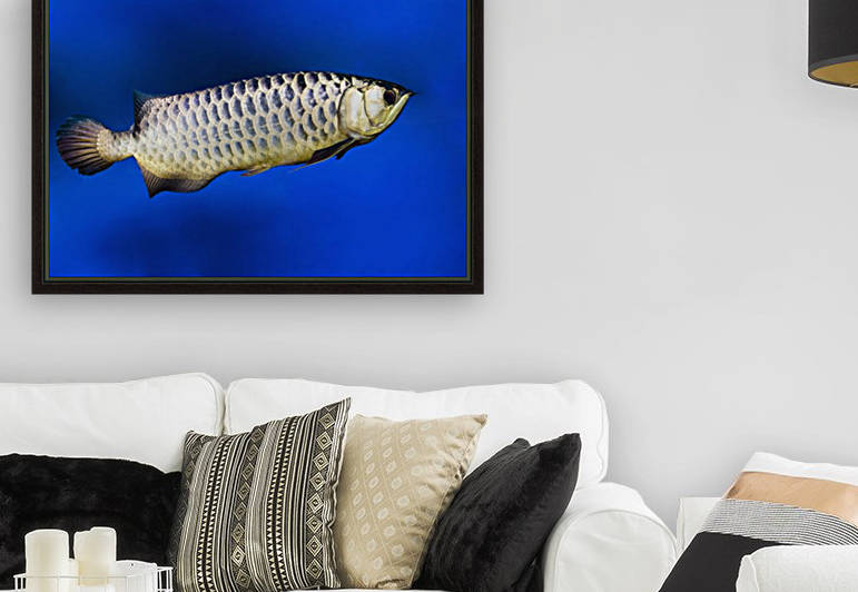 Fish Reproduction