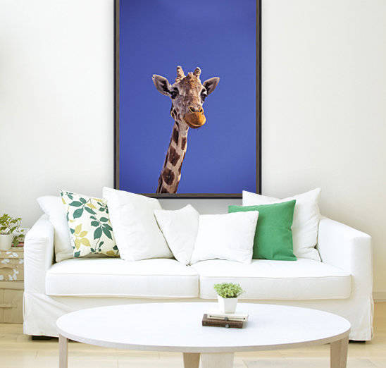 Masai Giraffe, Serengeti, Africa by PacificStock