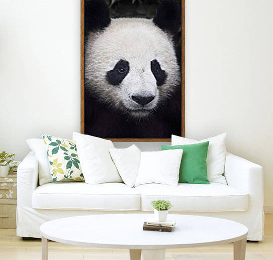 Portrait of panda (ailuropoda melanoleuca);China by PacificStock