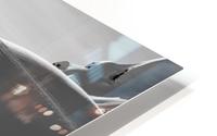 Extreme snowboarding, Arlberg; Austria HD Metal print