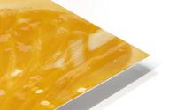 Oranges HD Metal print