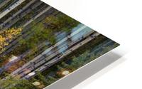 Trees In A Forest HD Metal print