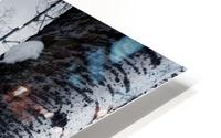 Forest In The Winter HD Metal print