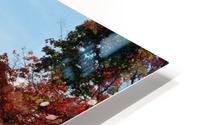 Sugar House With Fall Trees HD Metal print