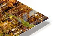 Autumn Trees HD Metal print