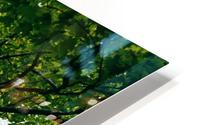 Tree, Low Angle View HD Metal print