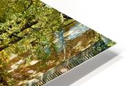 River In Autumn HD Metal print