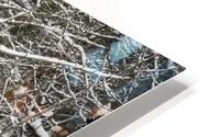 Snow Covered Branches HD Metal print