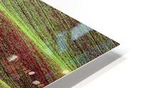 Field HD Metal print