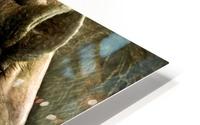 Hippo HD Metal print