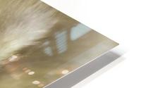 Fuzzy Gosling HD Metal print