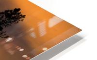 Silhouetted Tree At Sunset HD Metal print
