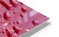 Liquid Drops On Red Surface HD Metal print