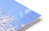 Covered In Snow HD Metal print