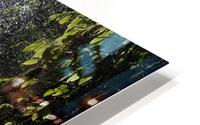Rainforest, Bellingen, Australia HD Metal print