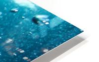 Bubbles Underwater HD Metal print