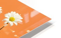 Four Flowers HD Metal print