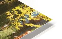 Autumn Leaves HD Metal print