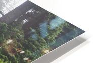 Foggy Forest Path HD Metal print