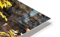Waterfall, Banff, Alberta HD Metal print