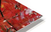 Autumn Leaves HD Metal print