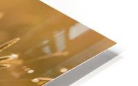 Grass HD Metal print