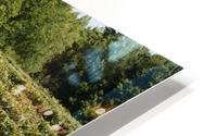 Vineyard; Dunham, Quebec, Canada HD Metal print
