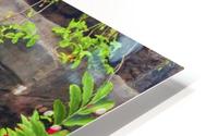 Waterfall into Resort Pool HD Metal print