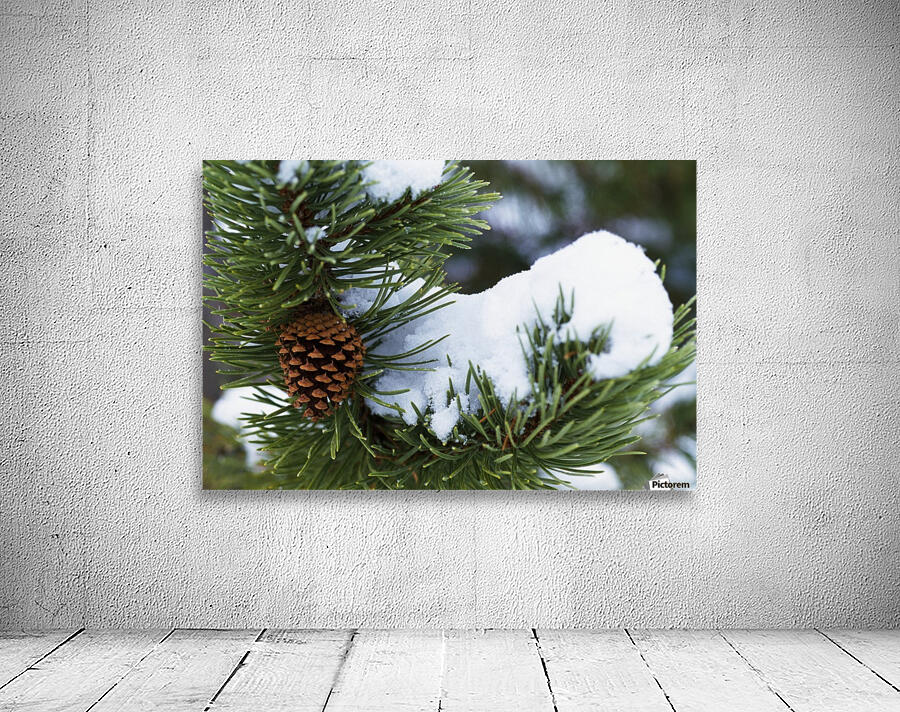Snow On A Tree Wall Preview