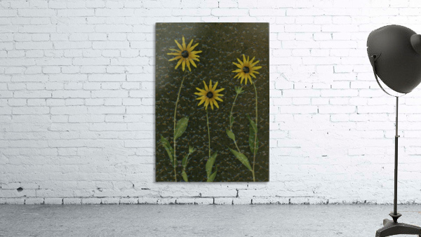 Three Yellow Flowers Wall Preview