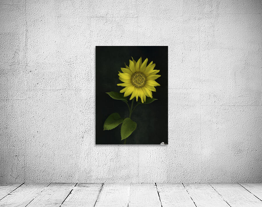 Sunflower Wall Preview