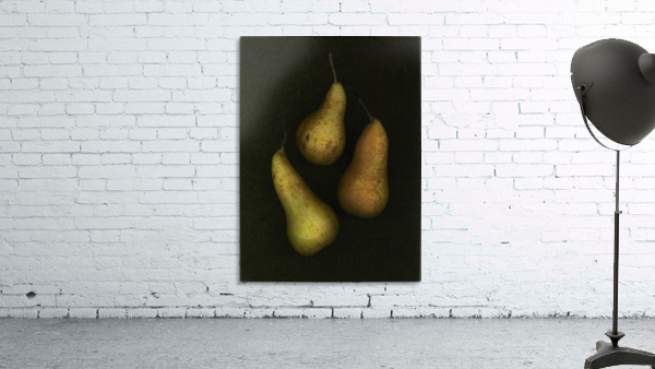 Three Golden Pears Wall Preview