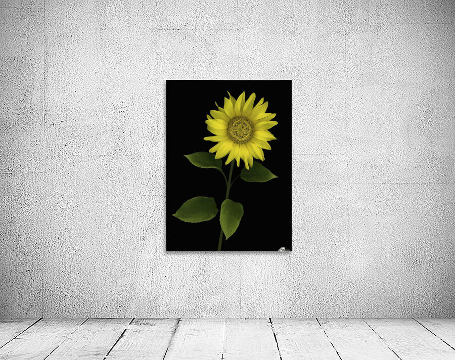 Sunflower Wall Preview