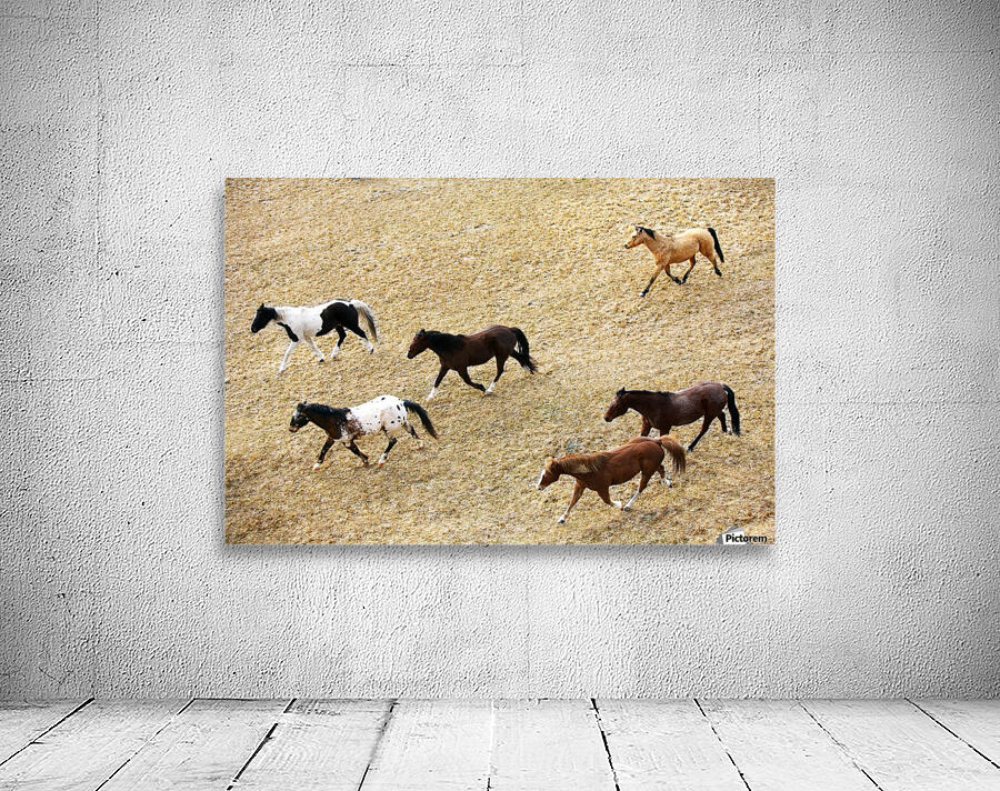 Horses Galloping Wall Preview