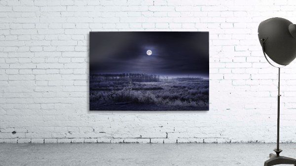 Evening Winter Scene Wall Preview