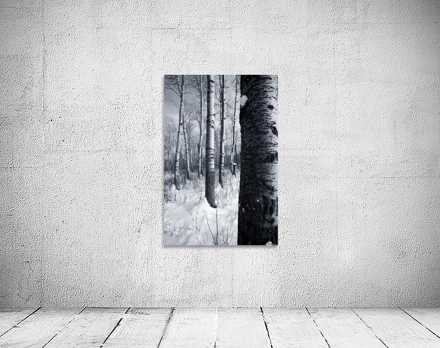 Forest In The Winter Wall Preview