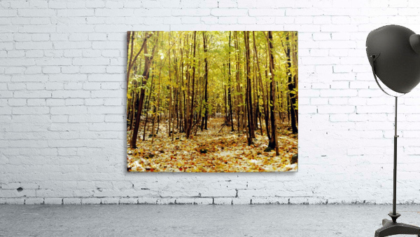 Autumn Trees Wall Preview