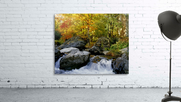 River In Autumn Wall Preview