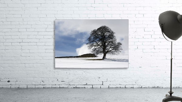 Snowy Field And Tree Wall Preview