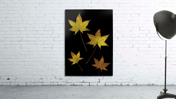 Autumn Leaves Wall Preview